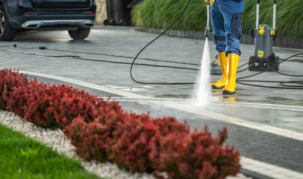 Best Concrete Pressure Washing  in Ellettsville, IN